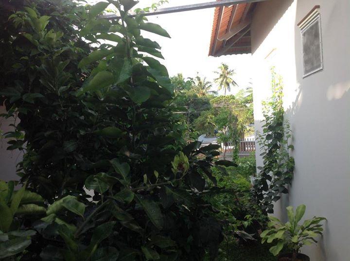 دونغ دونغ Manh Duyen Garden Homestay المظهر الخارجي الصورة